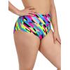 Ocean Blues Women’s Plus Size High Waisted Bikini Bottom Full Coverage Swim Bottom(Neon Striped)
