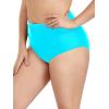 Ocean Blues Women’s Plus Size High Waisted Bikini Bottom Full Coverage Swim Bottom(Sky Blue)